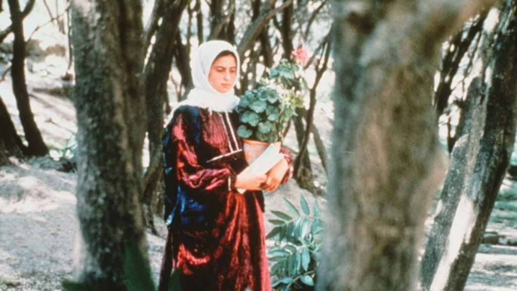 Through the Olive Trees –&nbsp;Review