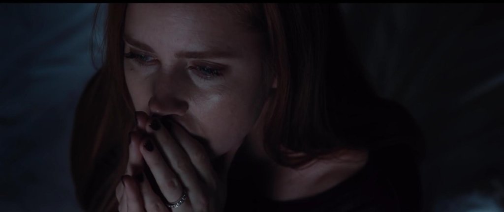 Nocturnal Animals –&nbsp;Review