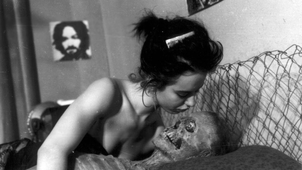 Nekromantik – Review