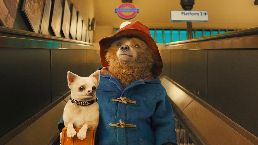 paddington2bdog2bmust2bbe2bcarried2bmovie2bstill