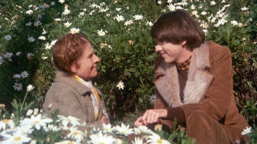 One of the Darkest and Most Beautiful Romantic Comedies Ever Made: Harold and Maude&nbsp;Review