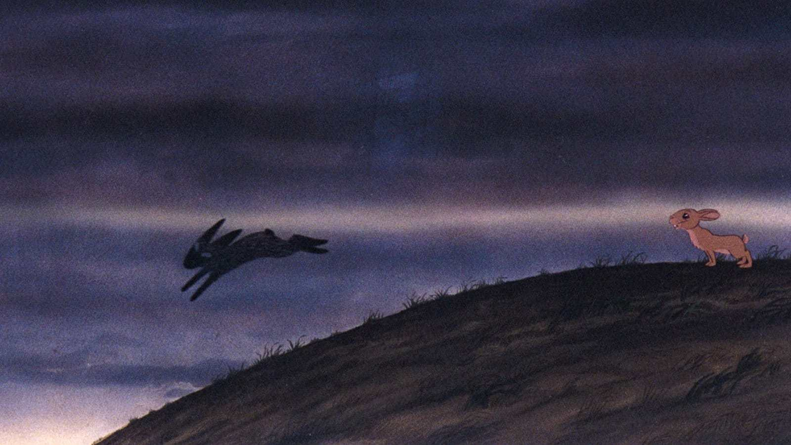 98b3272e49352a7260497cd147e0dcf1