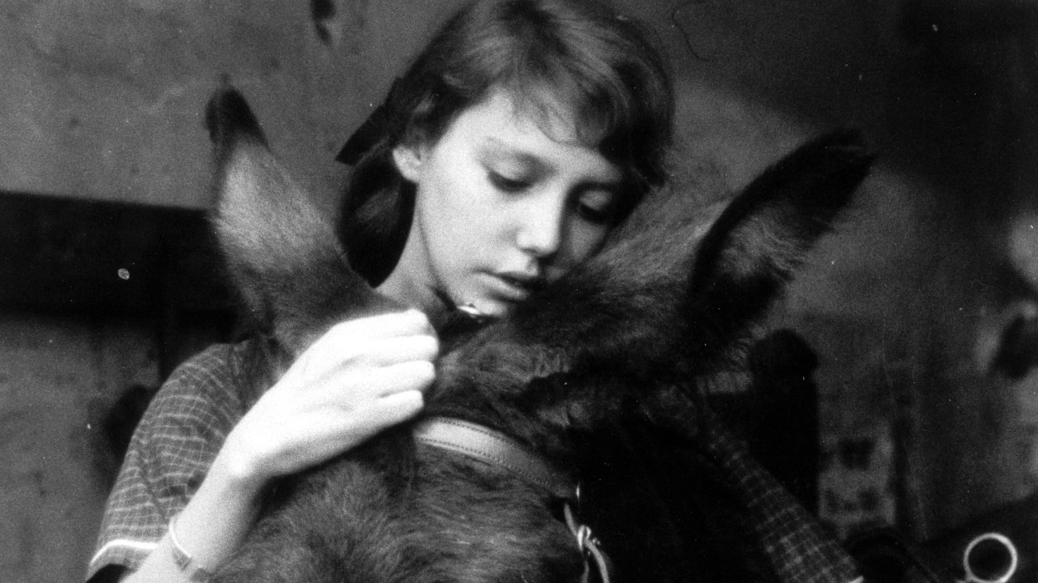 czwpcxwuvgo7gkx85kf6mgqmorx