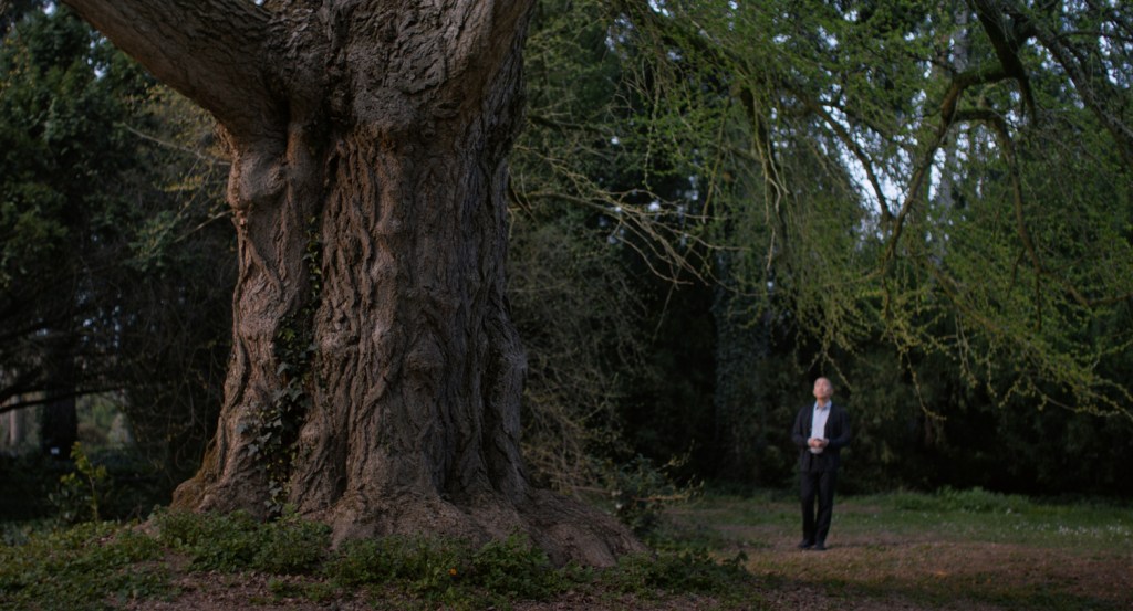 TIFF 2025 — ‘Silent Friend’ Review: Nature Links Us All Through The&nbsp;Years