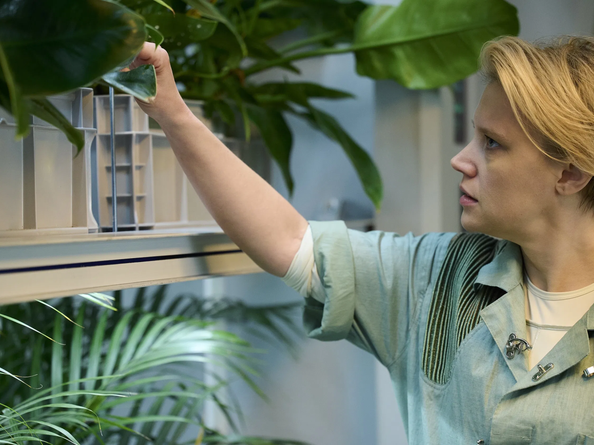 ‘In the Blink of an Eye’ Review: Rushing Through Mortality Without&nbsp;Introspection