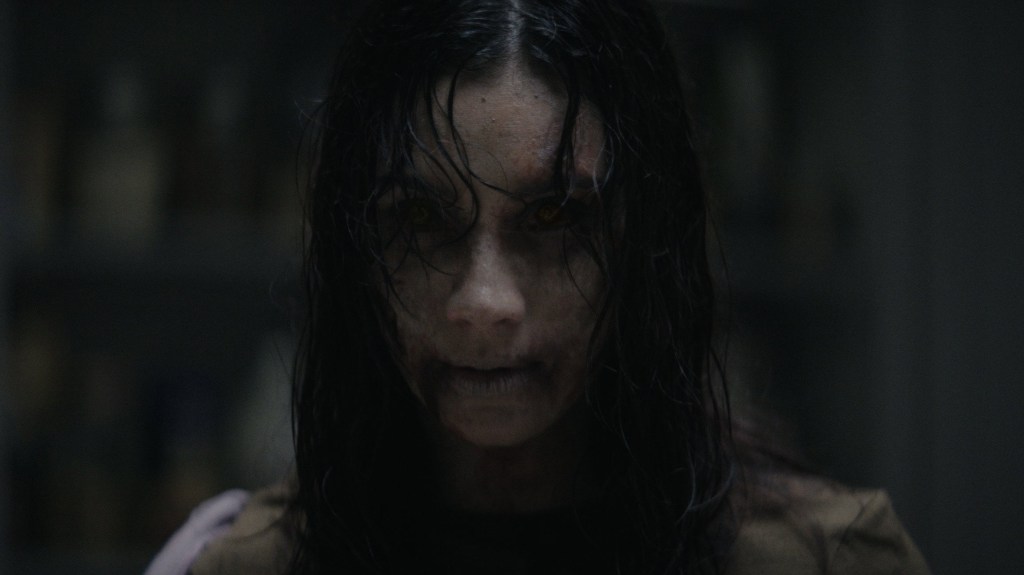 ‘Evil Dead Burn’ Review: Evil Runs in the&nbsp;Family